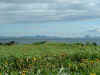 2004_0603_183259AA.JPG (330733 bytes)