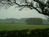 2005_0421_080053AA.JPG (327590 bytes)