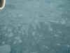 DSCF0012.JPG (318308 bytes)