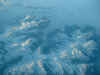 DSCF0020.JPG (324572 bytes)